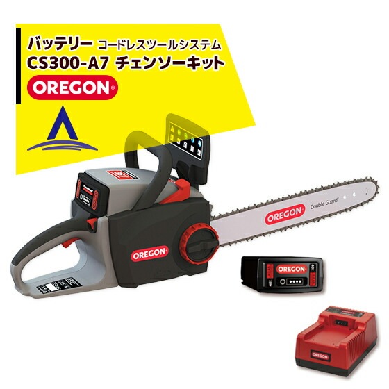 OREGON�ý��ż��������󥽡� ���쥴�� �����ɥ쥹�ġ��륷���ƥ� CS300��4.0Ah�Хåƥ꡼����ԥåɥ��㡼���㡼���åȡ�