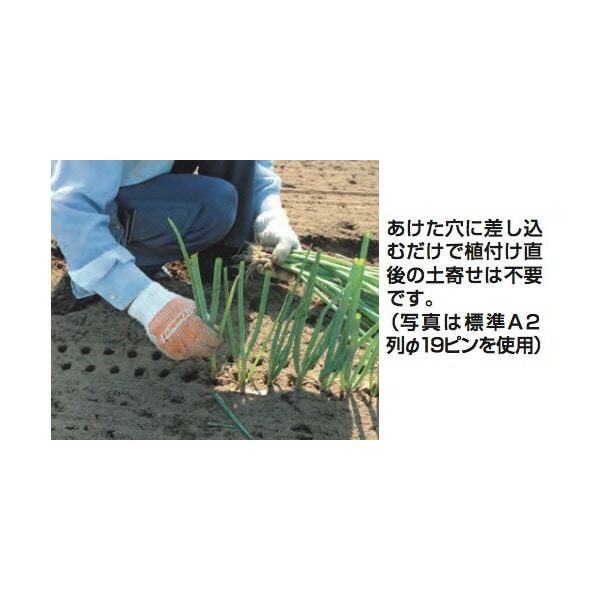 ネギロケット 楽天市場】ハラックス 長ネギ定植用穴開け器 N-160S-27 ネギロケット