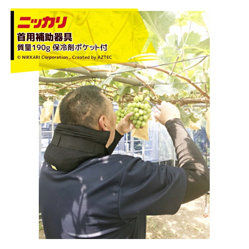 �˥å���ü��������� �̼��������Ȥ仺����������å��ȼԤʤɾ������Ȥˡ� ����ޥݥ��å��դ�