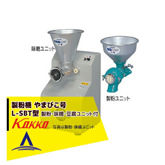 ����ҡ���ʴ�� ��ޤӤ��� L-SBT�� ��ʴ��̣����Ʀ���˥å���