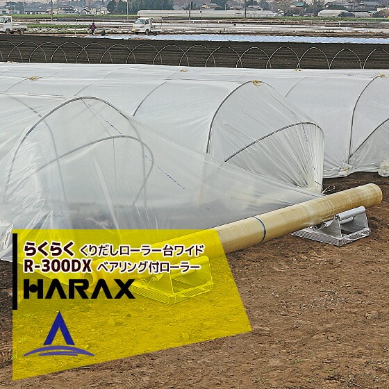 �ϥ�å�����HARAX �餯�餯 R-300DX ����Ф������顼��磻�ɥ�����