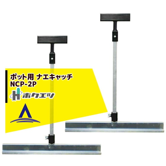 �ۥ����ġ���Ȣ��ư �ʥ�����å��ʥݥå��ѡ� NCP-2P 2�ܥ��å�