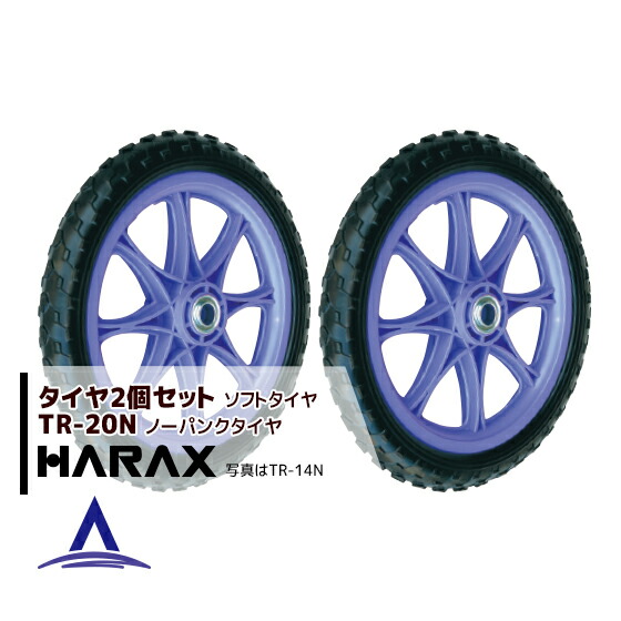 �ϥ�å�����HARAX �����䣲�ĥ��å� TR-20N(20�����������) �Ρ��ѥ󥯥�����(�ץ�ۥ�����)