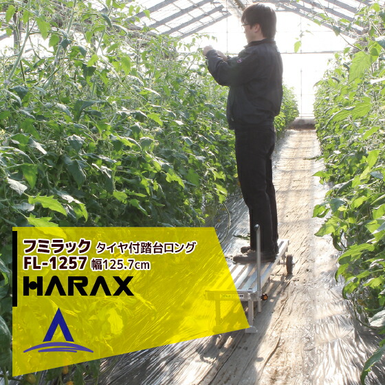 �ϥ�å�����HARAX �եߥ�å� FL-1257 ������� ��������Ƨ����󥰥����� ŷ��ͭ��Ĺ 125.7cm