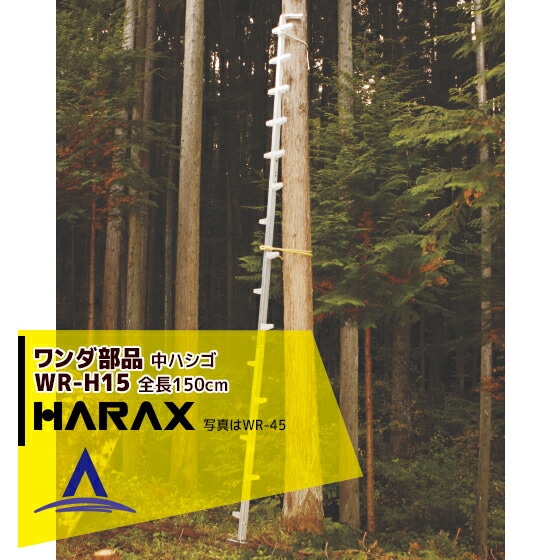 �ϥ�å�����HARAX ���� ��Ϥ��� ���ץ���� ������� ���ǤϤ��� WR-H15