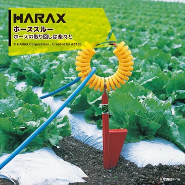 �ϥ�å�����HARAX �ۡ��������ɡ��ۡ������롼  R-16����5�ĥ��åȡ�