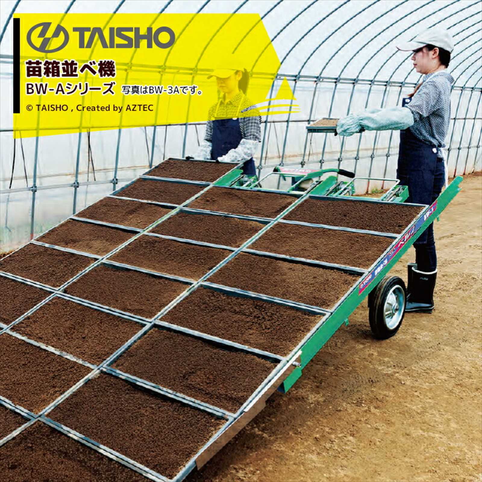 タイショー｜苗箱並べ機 ベルノ 3列並べ 作業能率800～1,600箱/時間 BW 