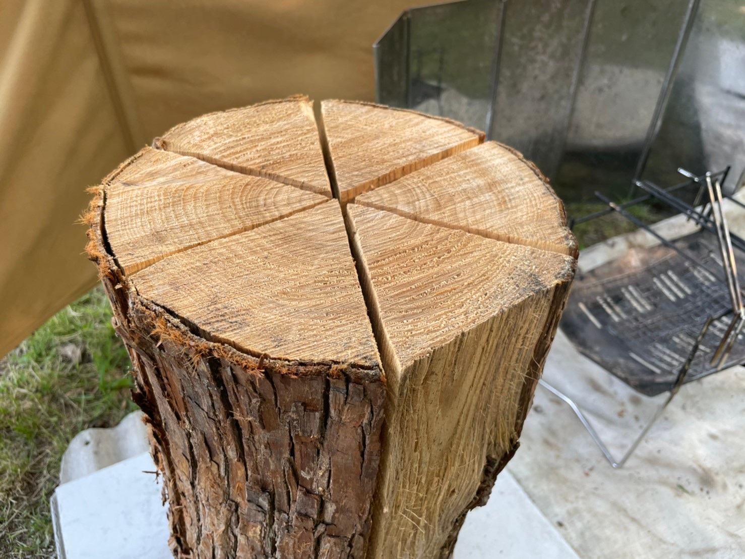 【B品】スウェーデントーチ（Sサイズ）