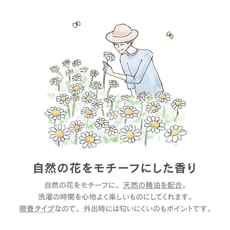 FL-237 ���ɥ꡼�����GENTLY������������˥���