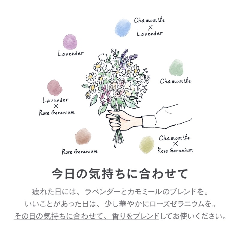 FL-237 ���ɥ꡼�����GENTLY������������˥���