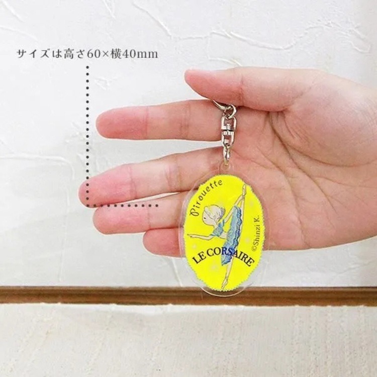 �Х쥨 �����ۥ����  / �ץ쥼��� �ץ����ե� ���ե� ȯɽ�� �Х쥨ȯɽ�� Shinzi Katoh ���󥸥��ȥ�