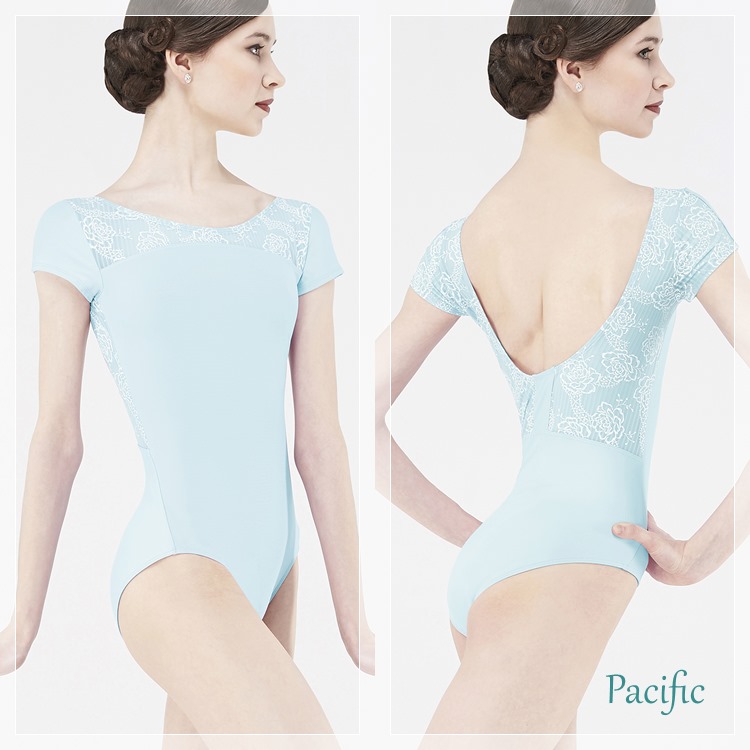 ��Wear Moi���������⥢��CARLINE ��������  ����ͥХ쥨�쥪�����ɡ�Ⱦ���ǡ�����ץ��꡼��