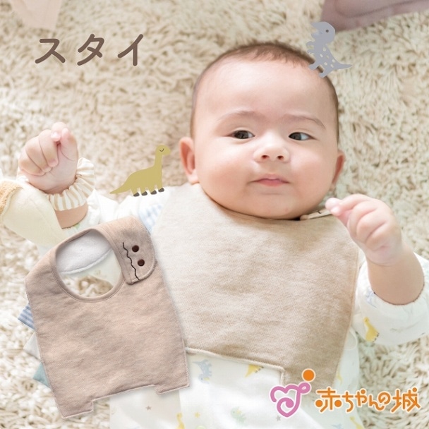 スタイ　きょうりゅう