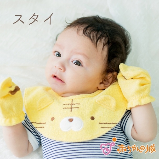 スタイ　とらお