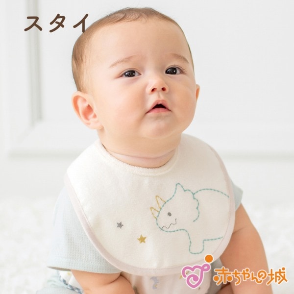 スタイ　Nきょうりゅう