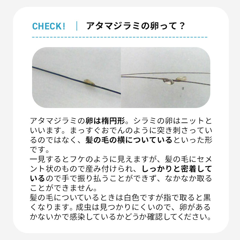 アタマジラミ 頭しらみ 電動シラミ駆除櫛 くし ライスプロ | お悩み