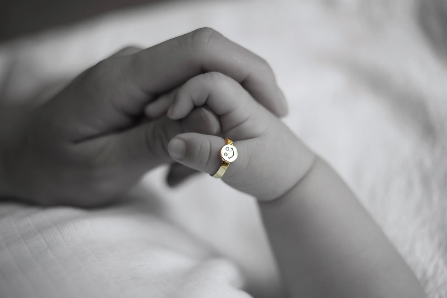 坂本様専用カート