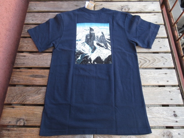 デッドストック パタゴニア グレーシャービューライジング レスポン