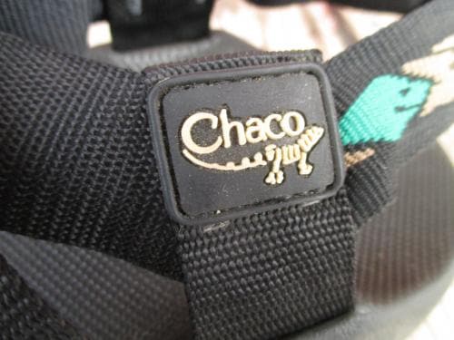 USED ����ꥫ�� CHACO (���㥳) �����������롡Z1  US11 shb986