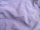USED 96ǯSS�� �ѥ����˥� �Х��������硼�� �꡼����ѡ��ץ�!! M paf980