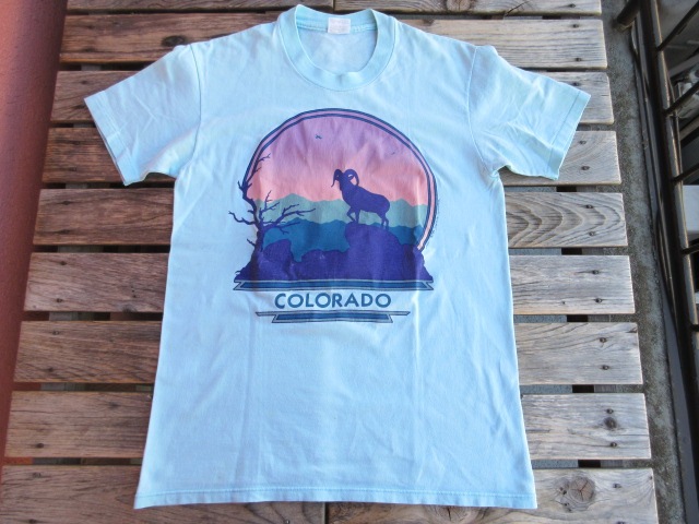 USED 80ǯ��Υӥ�ơ��� �ڥ�����ɡ� �ӥå��ۡ���T����� ���ͷ� ������ɽ��M tsh372