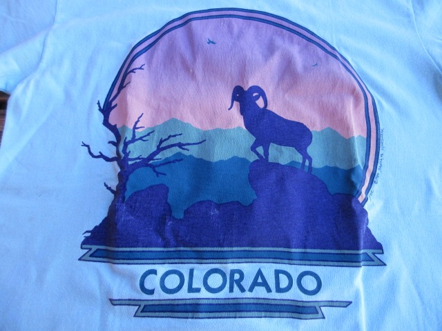 USED 80ǯ��Υӥ�ơ��� �ڥ�����ɡ� �ӥå��ۡ���T����� ���ͷ� ������ɽ��M tsh372