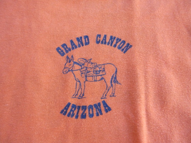 USED 70ǯ�� �ӥ�ơ��� ��GO HIKE��RIDEw THE CYANON�� �����ɥ���˥���ʥ���ʥ�ѡ��� T����� ����� tsh382
