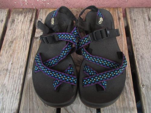 USED��USA��CHACO(���㥳)�������TOKAY US8 Windowpane! 94ǯ����shb946