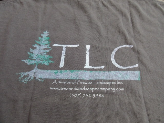 USED �磻���ߥ󥰽� ���㥯����ۡ���δ�ȷ� TLC T����� tsf788