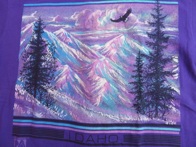 USED 90ǯ�� ����ꥫ�� �������� ��IDAHO�� �����! �� �إ��� ������L tsh388