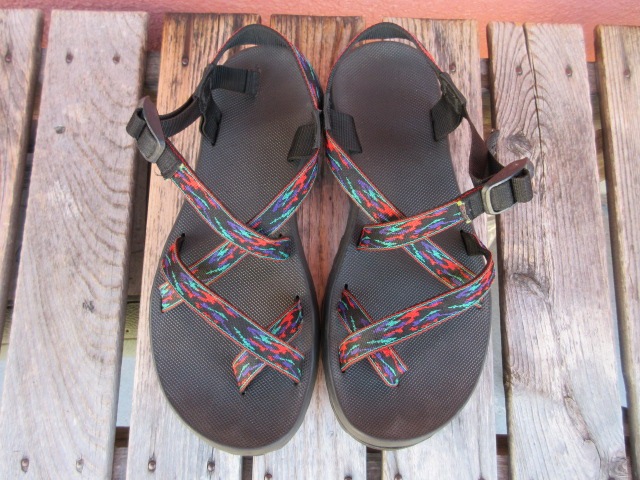 USED��95ǯ�������㥳������롡�ۥåȥ�С�USA����TOKAY����������ե����֥ƥ󥽡��롡US12��shc276