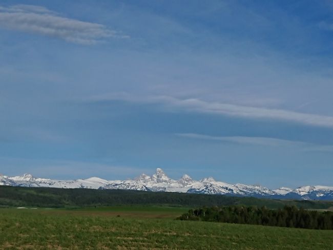 USED �����ɥƥ��ȥ�֥�塼���� 2010ǯ����Teton Ale Amber T����� �ޥ롼�� S tsf734