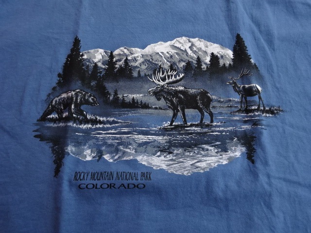 ����USED 2000ǯ���Υ��å����ޥ���ƥ�ʥ���ʥ�ѡ���T����� �ĳ� L tsg200