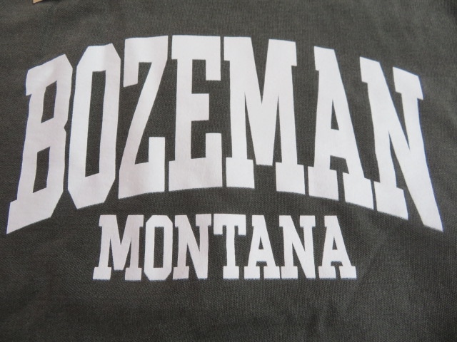 ���� ��󥿥ʽ� �ܡ����ޥ� �ӥå��ܡ������롼�ͥå��������å� �ڥåѡ� L ssf180