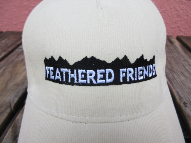  եɥե ڥӥåFF ɽǥå 󥵥 ʥ ack559