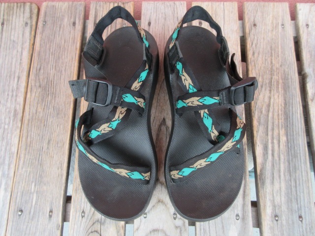 USED 94ǯ USA Chaco 㥳 Z1 FinFeather US12 shc296