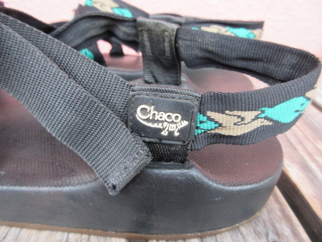 USED 94ǯ USA Chaco 㥳 Z1 FinFeather US12 shc296