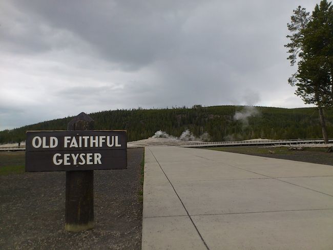 ��USED 90ǯ�� USA�� ��Yellowstone Park�� �����������ȡ��� �ʥ���ʥ�ѡ��� ���륯T����� �� M tsh209