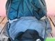 USED 96ǯSS USA�� �ѥ����˥� �ǥ����ॿ�� �����å�&�ɥ饤 �����Хå� S �� ���⡼�� bak881