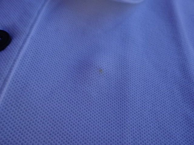 �ǥåɥ��ȥå� 04ǯ�� �ѥ����˥� ���(Ⱦµ)�ݥ�T����� �� L ssc484