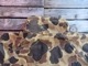 USED 80ǯ ӥ ϥƥJKT ադ ꥫ XXL jkp146