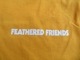 ���� ĹµT����� �ե������ɥե�� ��FF Warmth��L/S Tee ������� L tsh549