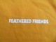 ���� ĹµT����� �ե������ɥե�� ��FF Warmth��L/S Tee ������� XL tsh550