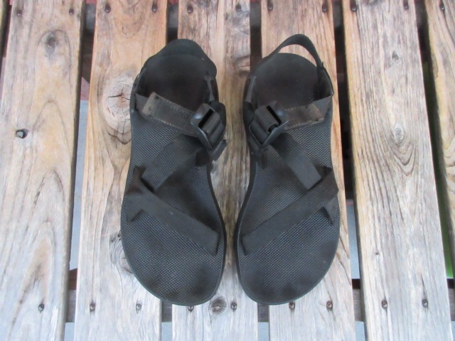 USED 93ǯUSA GECKO Chaco  Z1 ! ǥ7 shc300