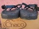 USED Ȣդ USA CHACO CHONG Neptune US9 sha694