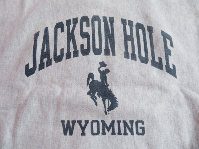 USED 2010ǯ���� �����ԥ��� ��С����������� ���롼 ���㥯����ۡ��� ���졼 M ssf120