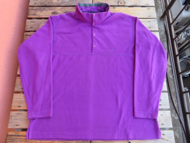 パタゴニア×アラジンマグ　デッドストック USED 93年FW USA製 パタゴニア マイクロD プルオーバー ブライト