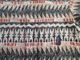 ��USED �ѥ����˥� 97ǯSS�� AC�ץ��ȥ���� ����!! S ssf404