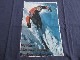 ���� �ͥץ��塼�� �ޥ���ƥ˥���� ���ȥ� ���ꥸ�ʥ� SKIING T����� ���� L tsf042
