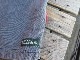 USED 2000ǯ���Υޥʥ����å��� ��MANASTASH�� ���ݡ��ĥ��硼��! ��!! M pae871